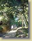 Hiking-Woodside-Oct2011 (18) * 2736 x 3648 * (5.11MB)